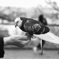 Они нашли друг друга