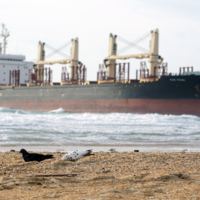 Пляжная история