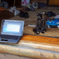 Когда работа на удалёнке