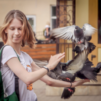 Акробатическое кормление