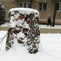 Однорукий бандит