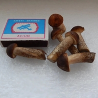 Подберёзовики.