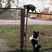 Не достанешь...