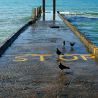 Законопослушные и нарушители