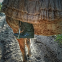 Конные сапожки