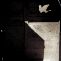 симптомы разумного воспроизведения