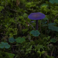 Есть и такие...