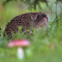 Не померещилось