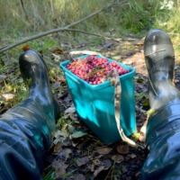 Вышли на берег