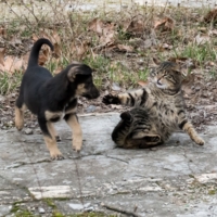 "Радушный" прием