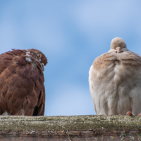 С первого взгляда?