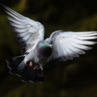 Во всей красе