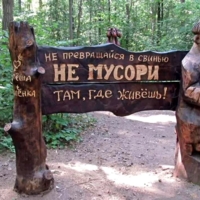 Лозунг на пеньках.