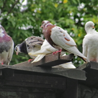 Опусти ножку и подойди к ней. Не стесняйся!!!
