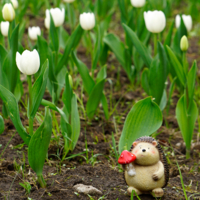 Ежик, я тебя искал!