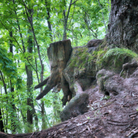 Привиделось - почудилось....