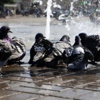 Умываемся пока воду дали.