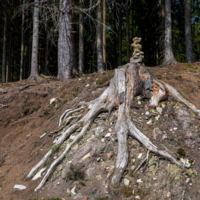 может и я на что сгожусь