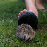 Берегите пальцы