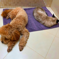 На просушке