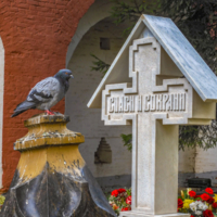 Душа умершего?...