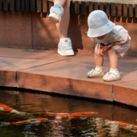 Любопытство