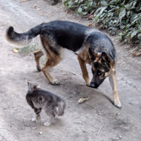 поиск компромисса