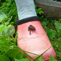 Природа это её