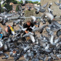 Покормил, называется! В живых бы остаться... ))