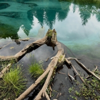 Пень в озере Мёны