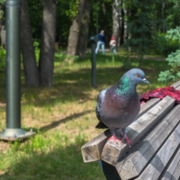 А как я Вам?