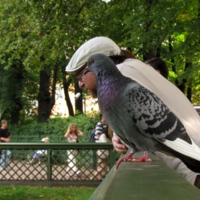 Два профиля