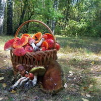 Белых нет, берём красные.