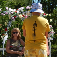 Дисгармония лука