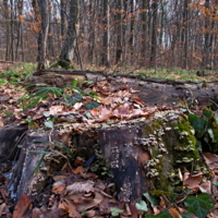 Приукрасился