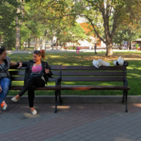 Сплетни живут на лавочке