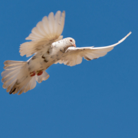 Мне с верху видно всё, ты так и знай.