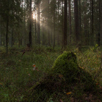 С подсветкой