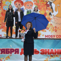 Директор школы