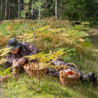 Теперь и отдохнуть можно