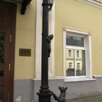 Кошка с собакой