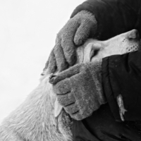 Диагональ привязанности