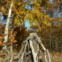 Главный герой