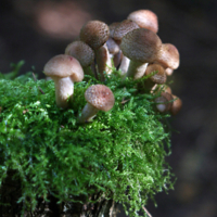 хорошо устроились