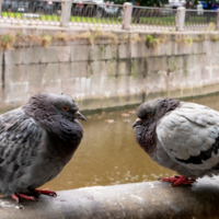 Ну и что теперь делать будем?