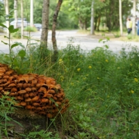 -ау, мы здесь