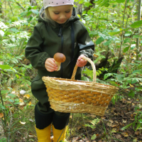 Первый белый гриб