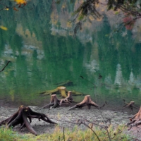 Побежали купаться...