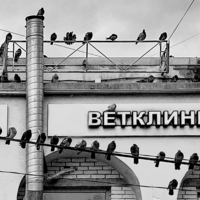 Кто крайний?