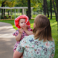 Несносная панама